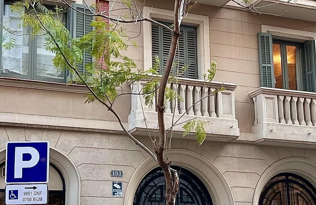 Hostal Madrazo-1