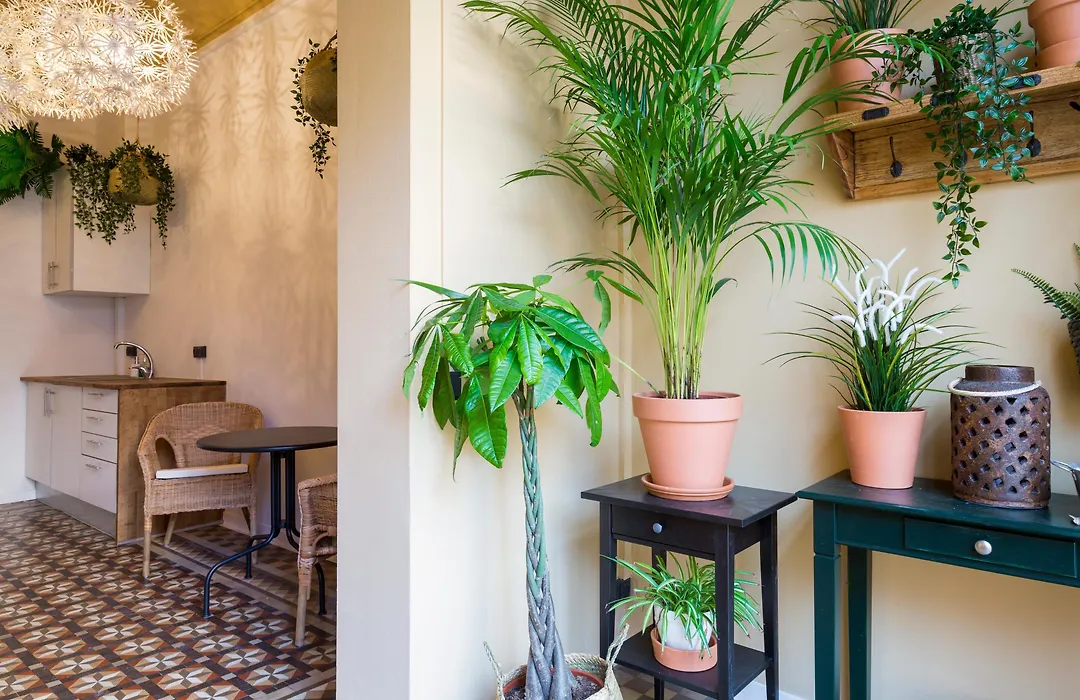 Casa Maca Guest House-1