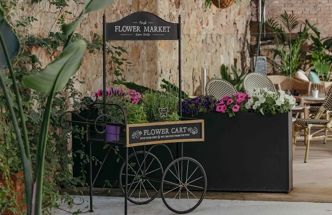La Franca Hotel Boutique (Adults Only)-1