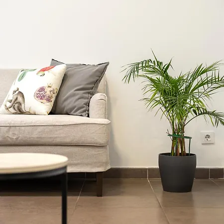 Laramond Barcelona Rooms-2