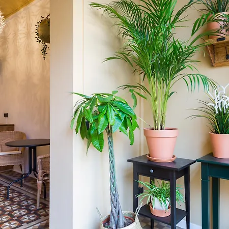 Casa Maca Guest House-2
