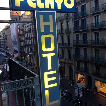 Hotel Pelayo-3