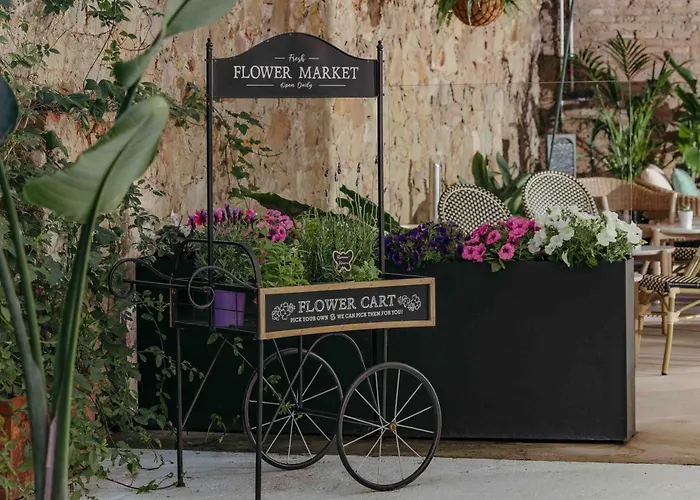 La Franca Travellers (Adults Only)